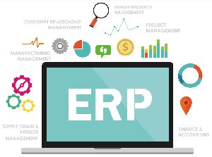 Skills development in ERP systems through work placements